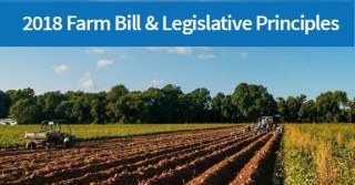 USDA farm bill principles